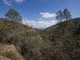 Pinnacles NM 003